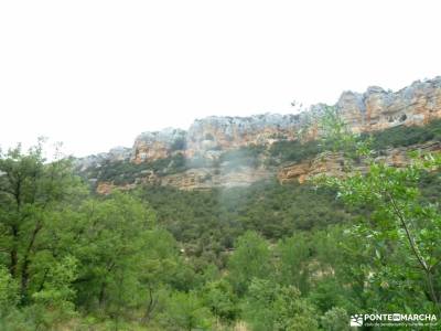 Sedano,Loras-Cañones Ebro,Rudrón;viajes julio cerezos del jerte excursion madrid club de viajes